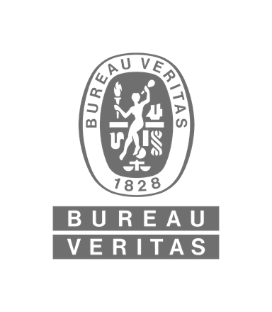 Bureau Veritas Logo